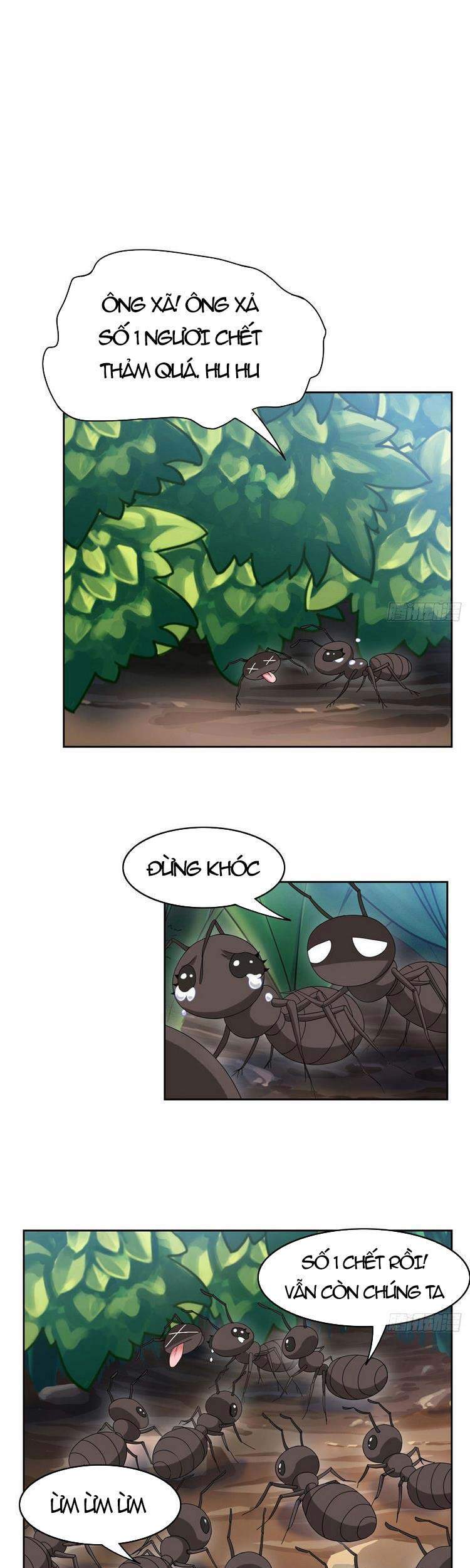 Cường Giả Đến Từ Trại Tâm Thần - Chương 42