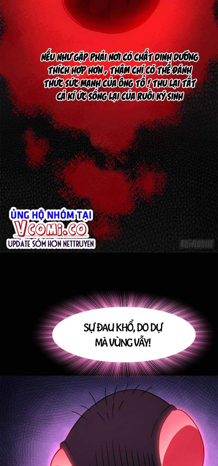 Cường Giả Đến Từ Trại Tâm Thần - Chương 46