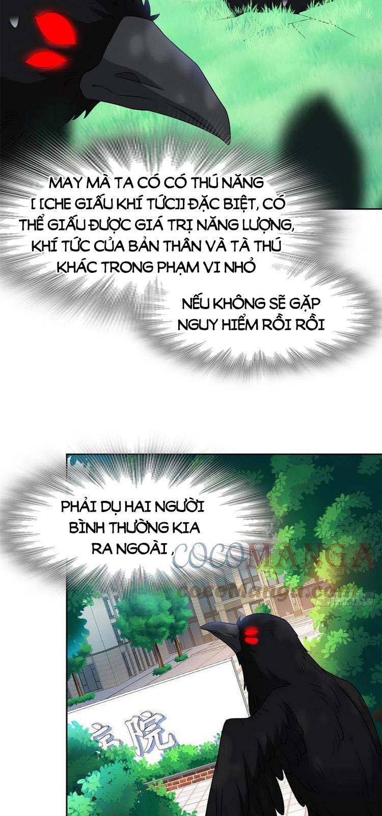 Cường Giả Đến Từ Trại Tâm Thần - Chương 61
