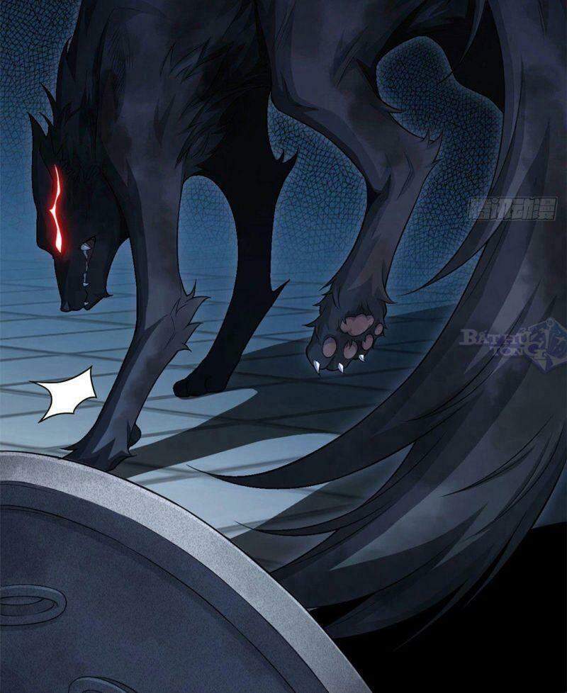 Cường Giả Đến Từ Trại Tâm Thần - Chương 20