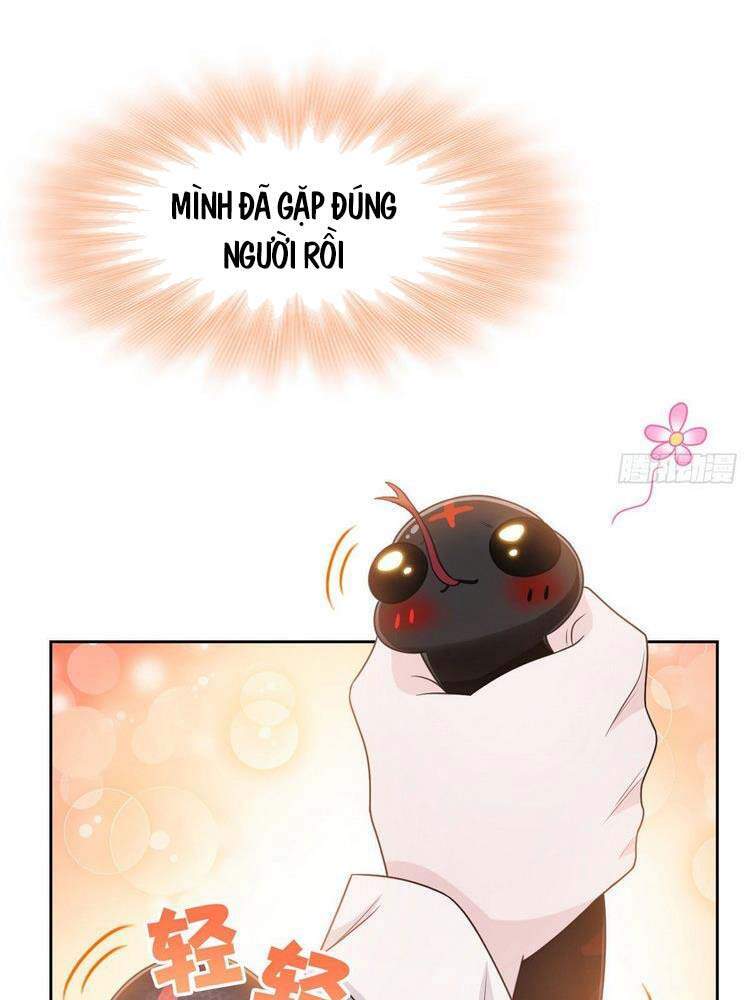 Cường Giả Đến Từ Trại Tâm Thần - Chương 32