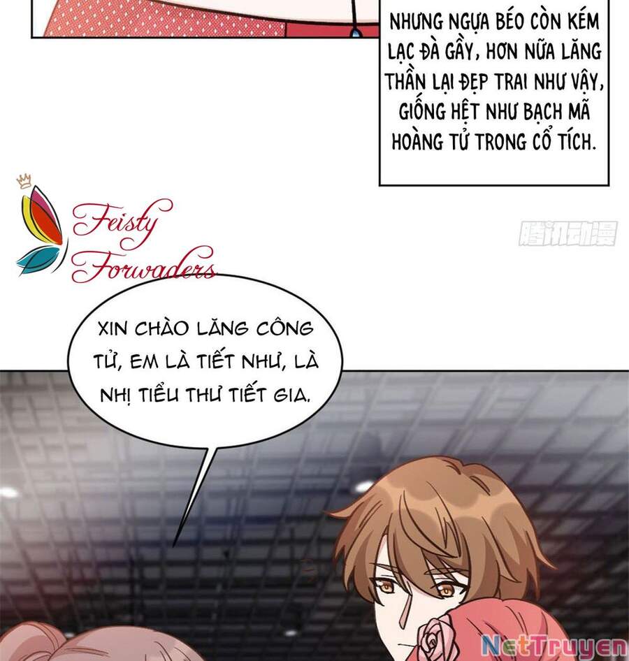 Độc Gia Chiếm Hữu: Cơ Thiếu Phúc Hắc Kiều Thê - Chương 23