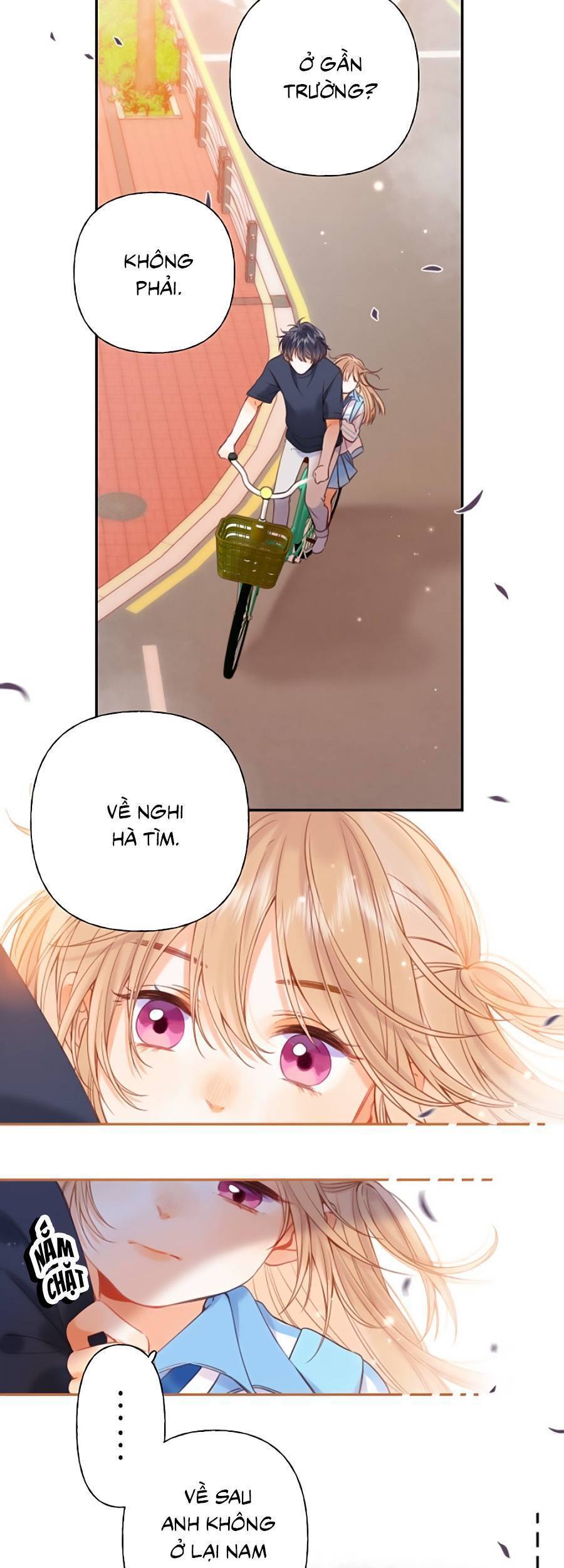 Vụng Trộm Giấu Không Được - Chương 32