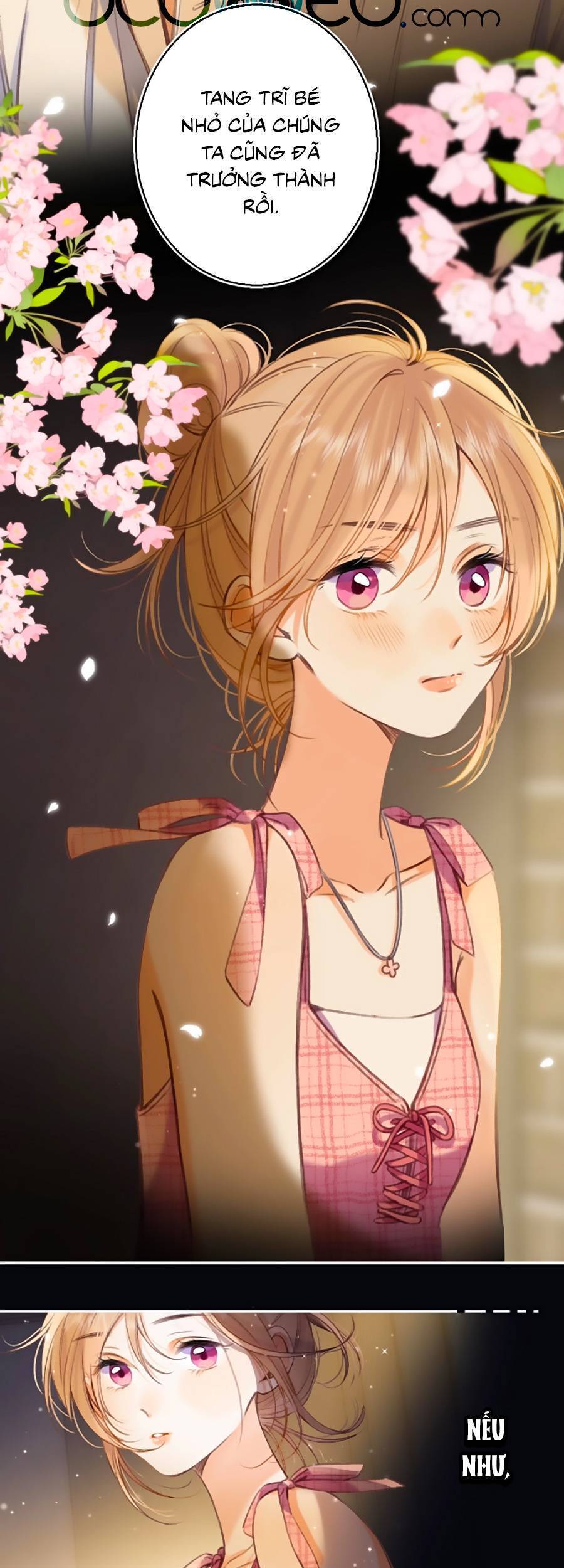 Vụng Trộm Giấu Không Được - Chương 46.6