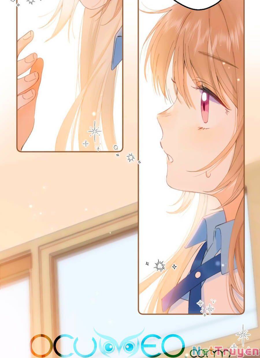 Vụng Trộm Giấu Không Được - Chương 5