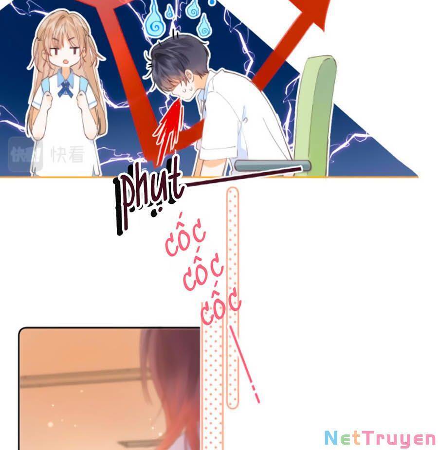 Vụng Trộm Giấu Không Được - Chương 5