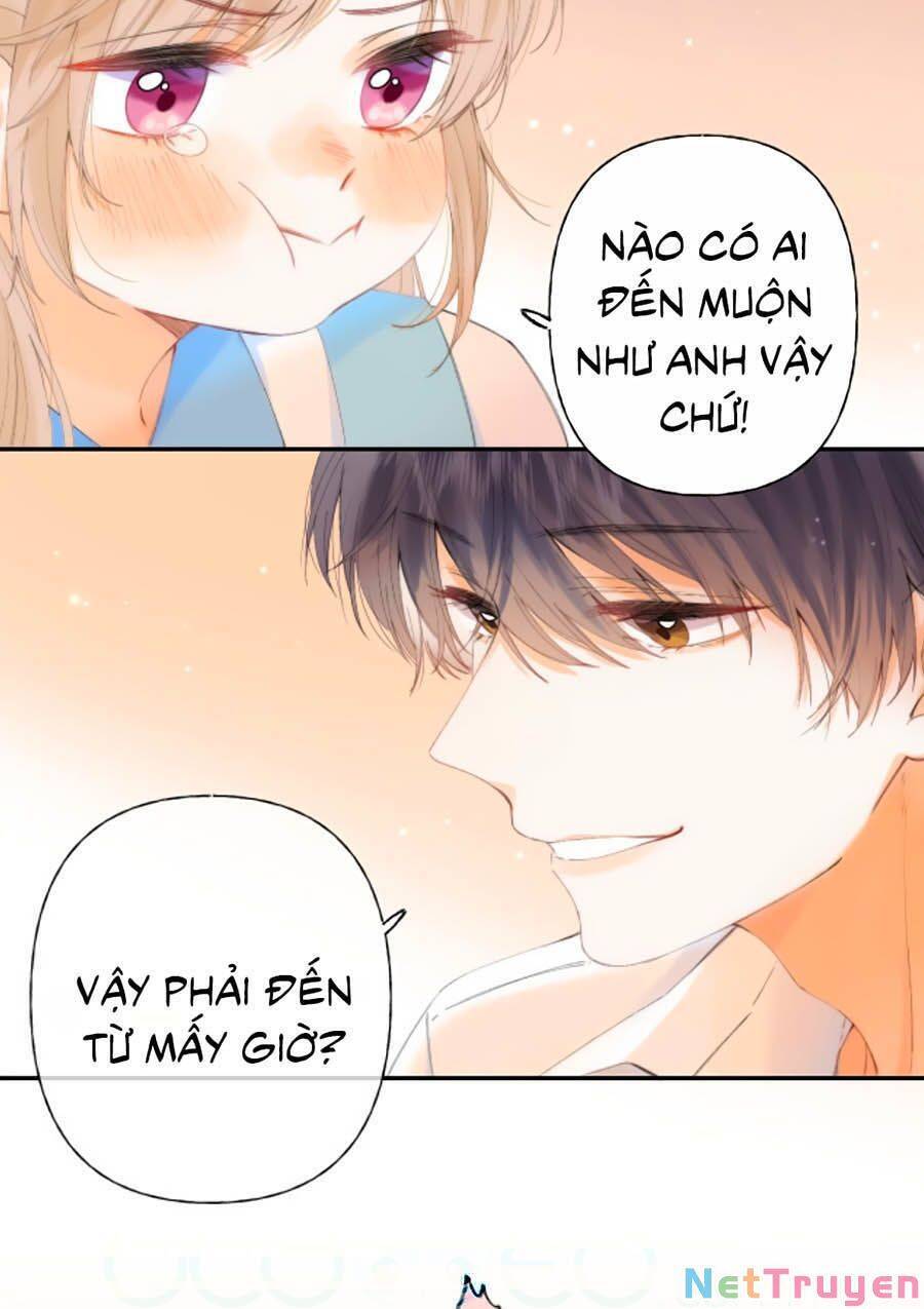 Vụng Trộm Giấu Không Được - Chương 5