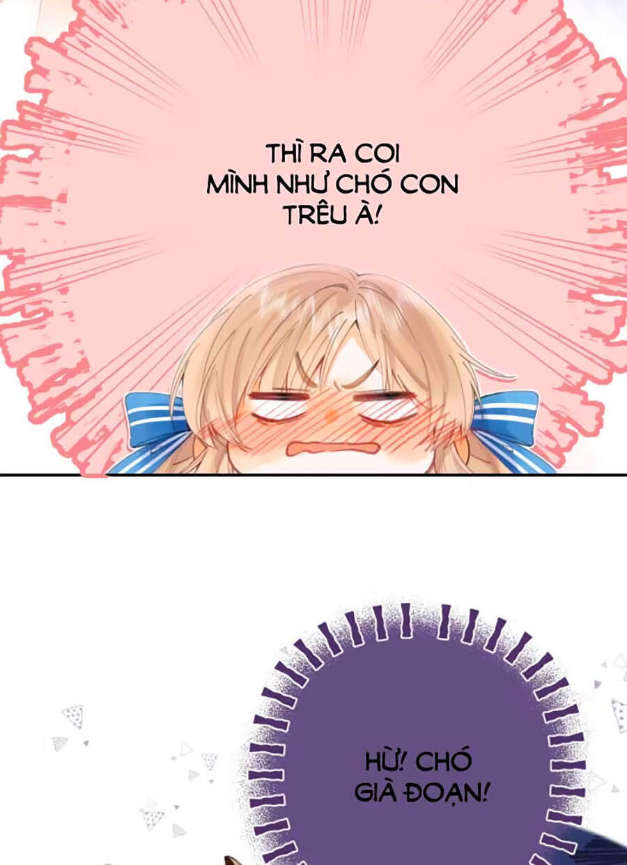 Vụng Trộm Giấu Không Được - Chương 15