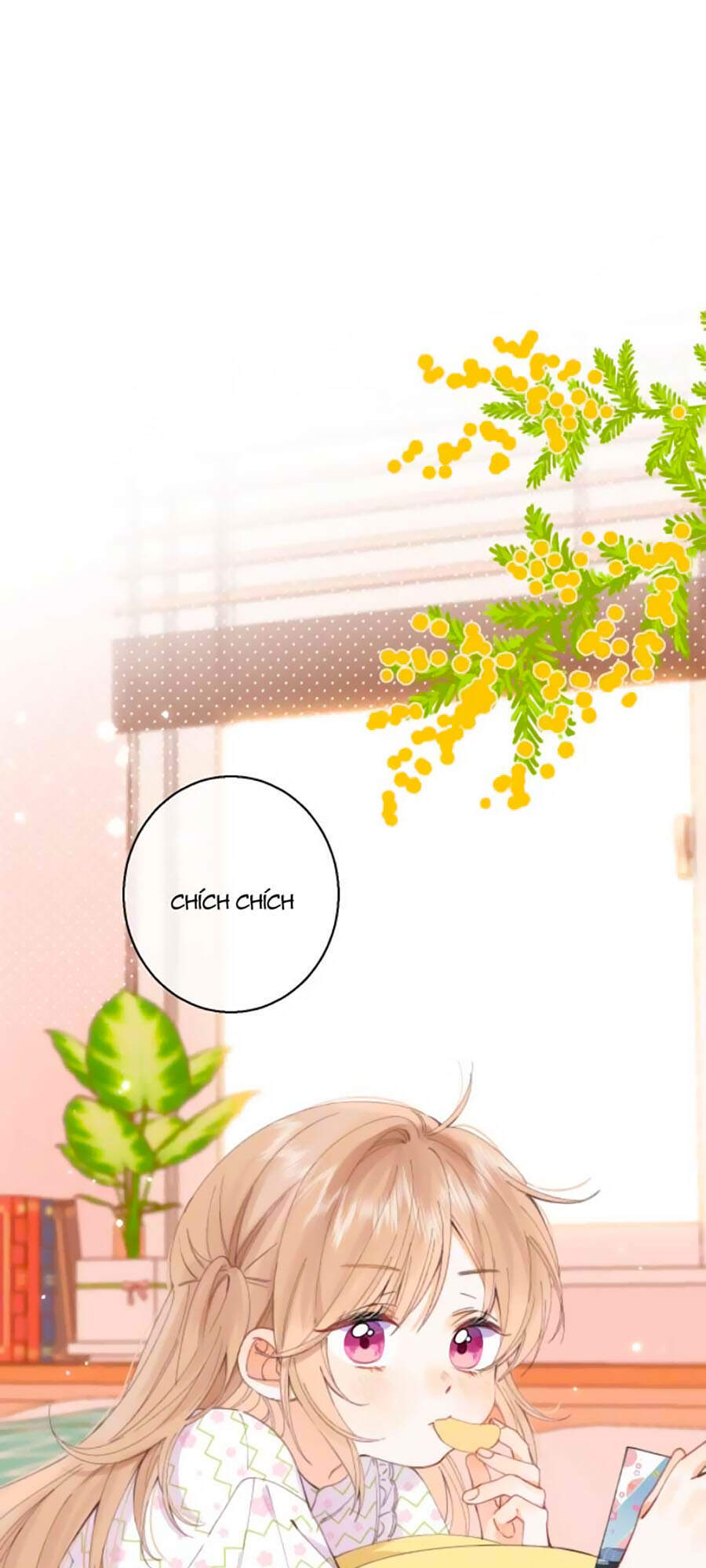 Vụng Trộm Giấu Không Được - Chương 16