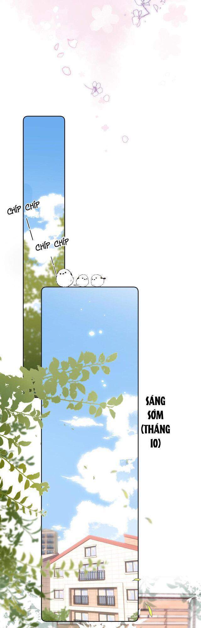 Vụng Trộm Giấu Không Được - Chương 22