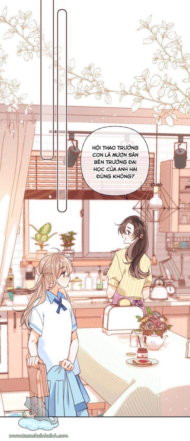 Vụng Trộm Giấu Không Được - Chương 22