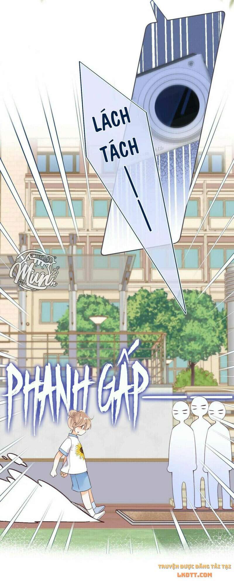 Vụng Trộm Giấu Không Được - Chương 24