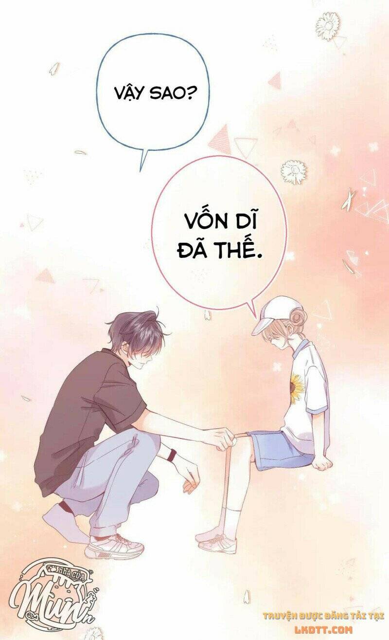 Vụng Trộm Giấu Không Được - Chương 26