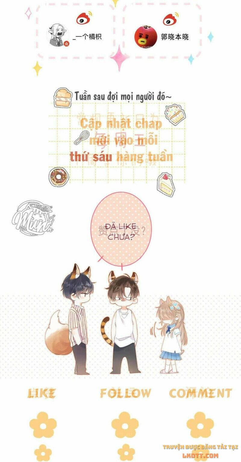 Vụng Trộm Giấu Không Được - Chương 26