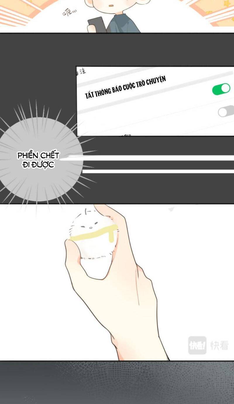 Tình Yêu Duy Nhất Của Tôi - Chương 20