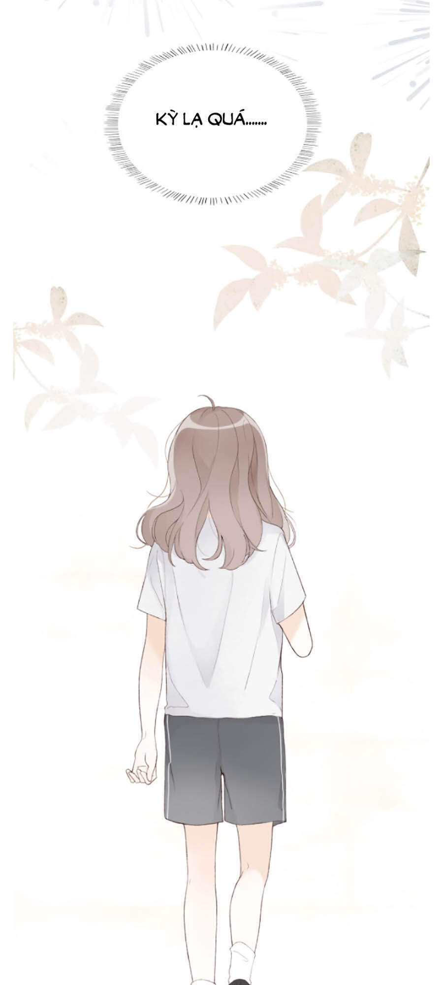 Tình Yêu Duy Nhất Của Tôi - Chương 6