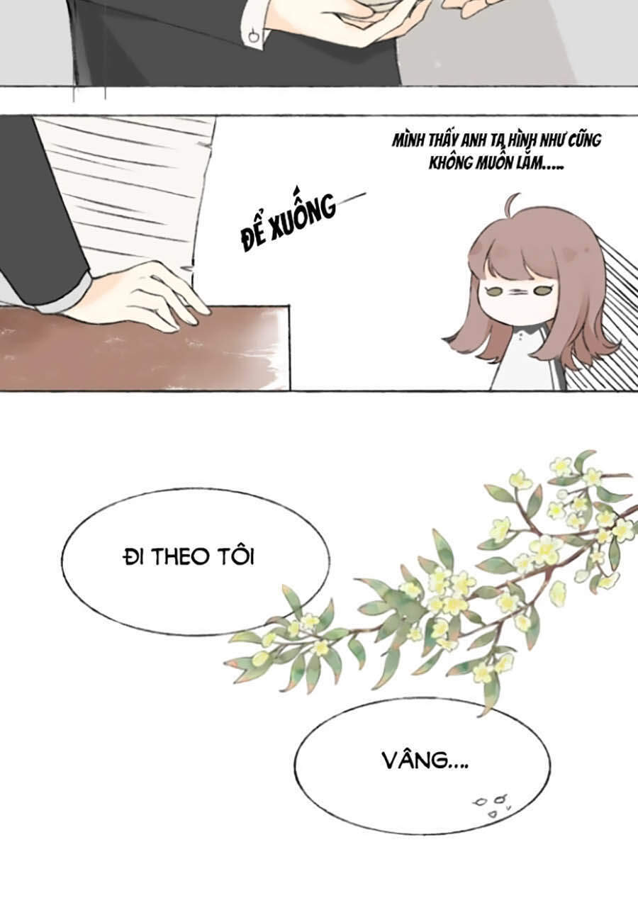 Tình Yêu Duy Nhất Của Tôi - Chương 1