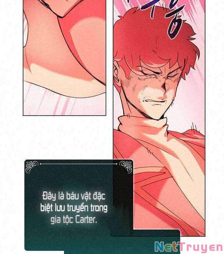 Thực Thư Pháp Sư - Chương 13