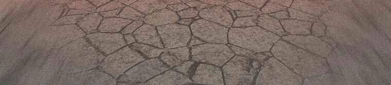 Thực Thư Pháp Sư - Chương 44