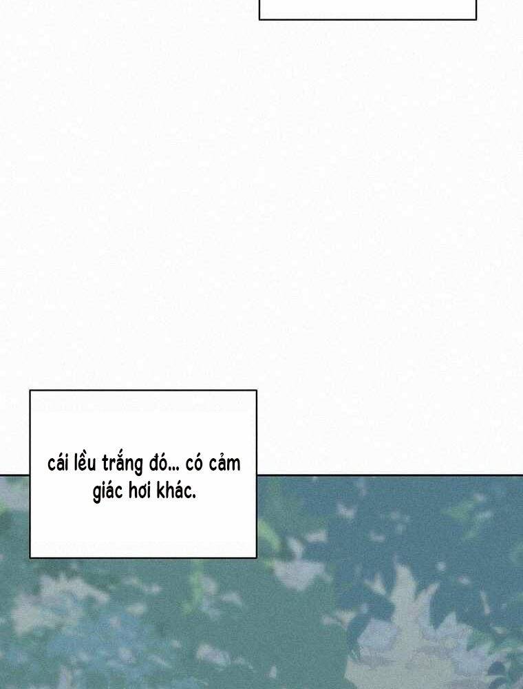 Thực Thư Pháp Sư - Chương 51