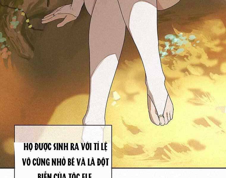 Thực Thư Pháp Sư - Chương 53