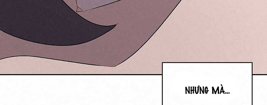 Thực Thư Pháp Sư - Chương 55.5