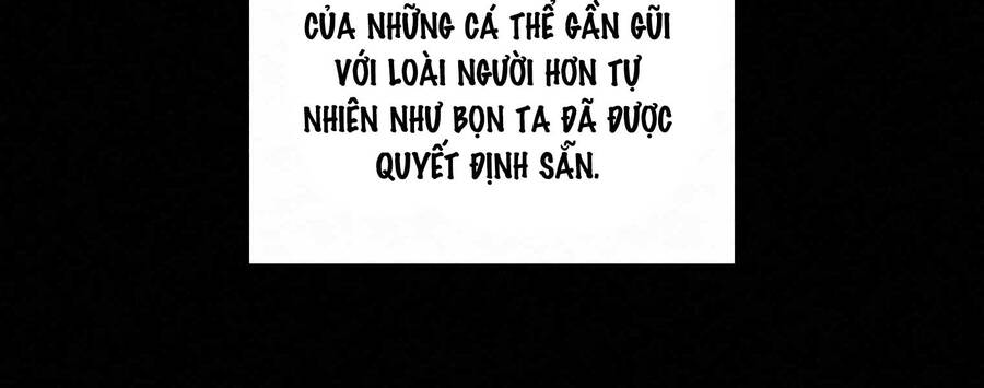 Thực Thư Pháp Sư - Chương 55.5
