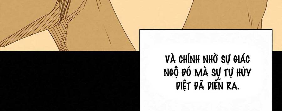 Thực Thư Pháp Sư - Chương 55.5