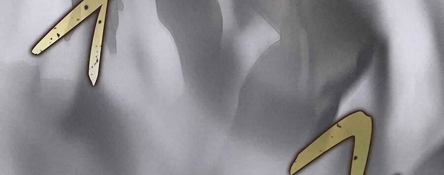 Thực Thư Pháp Sư - Chương 55.5