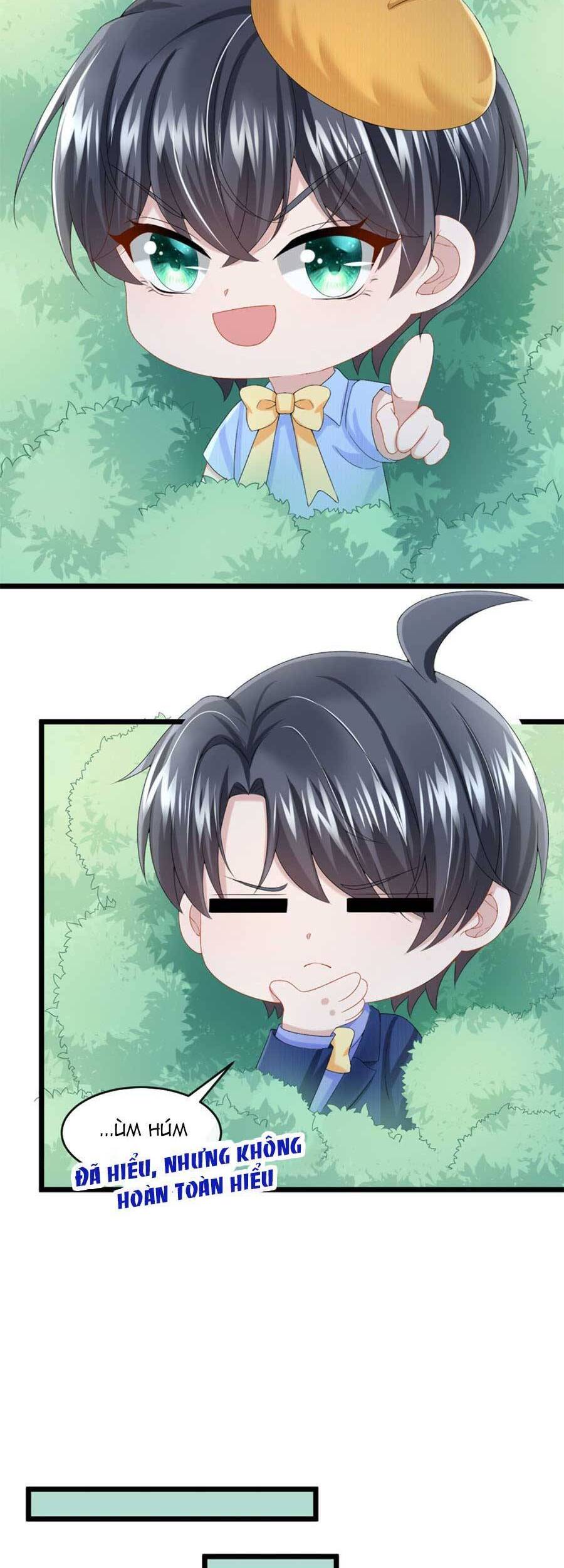 Manh Bảo Của Tôi Là Liêu Cơ - Chương 24