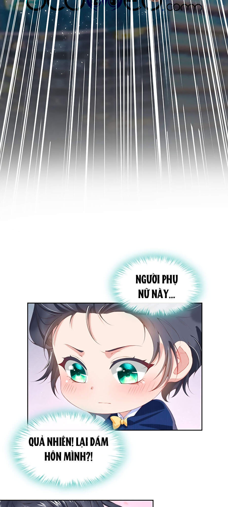 Manh Bảo Của Tôi Là Liêu Cơ - Chương 2