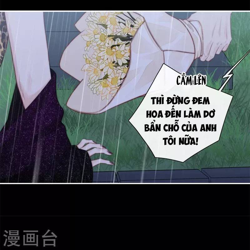 Kim Ốc Tàng Kiều - Chương 40.5