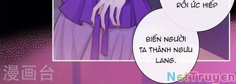 Kim Ốc Tàng Kiều - Chương 42