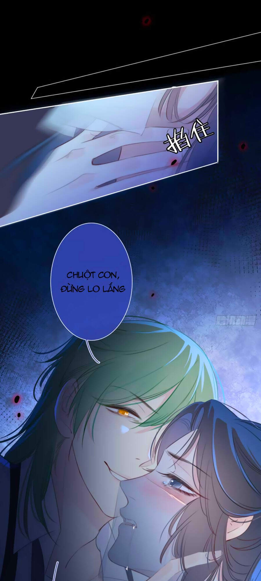 Kim Ốc Tàng Kiều - Chương 16