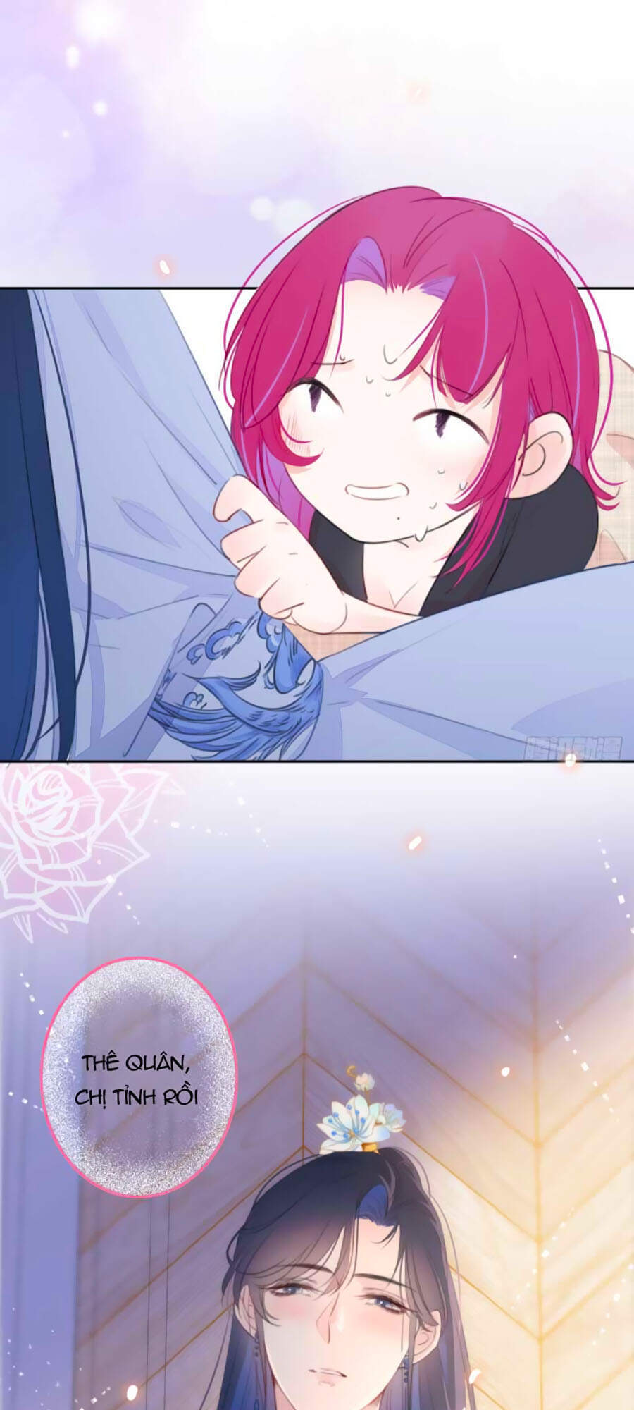 Kim Ốc Tàng Kiều - Chương 16