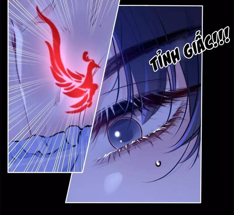 Kim Ốc Tàng Kiều - Chương 41