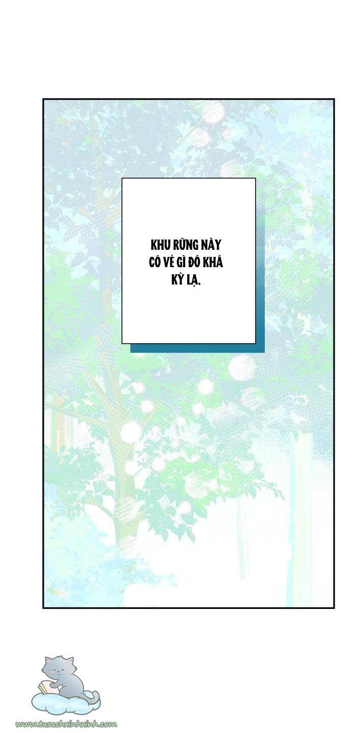 Thuần Hóa Quái Thú Thật Tốt - Chương 59