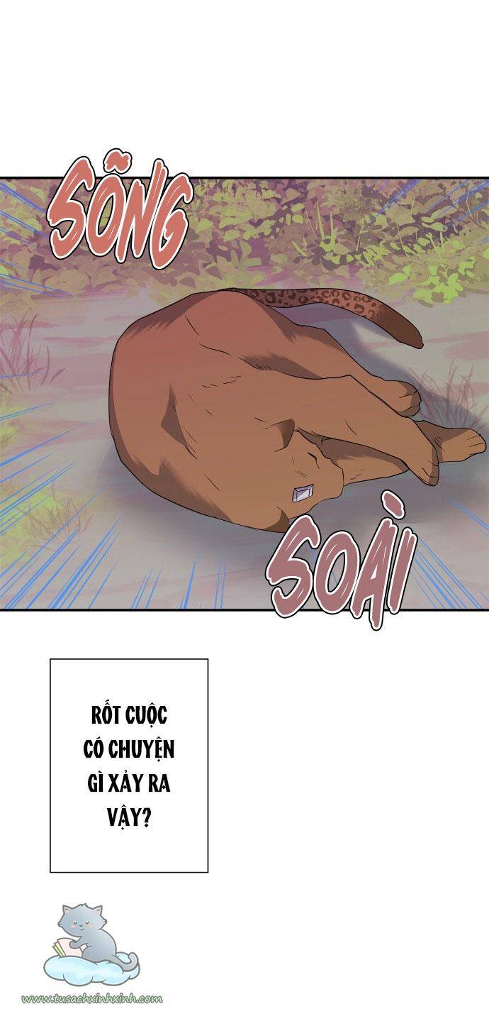 Thuần Hóa Quái Thú Thật Tốt - Chương 60