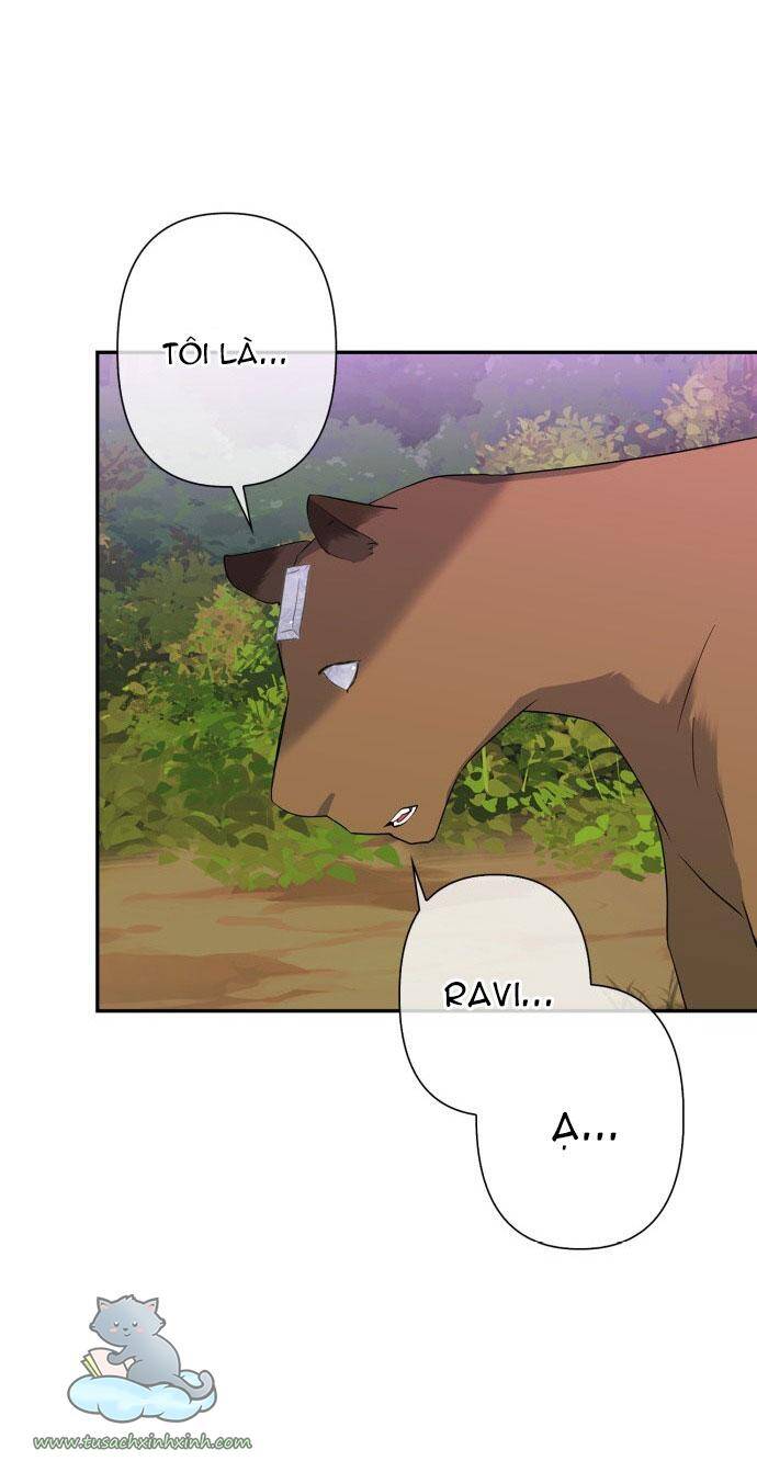 Thuần Hóa Quái Thú Thật Tốt - Chương 60