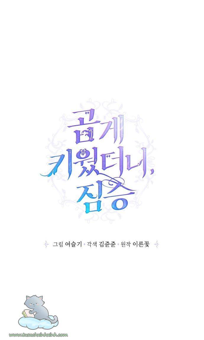 Thuần Hóa Quái Thú Thật Tốt - Chương 61