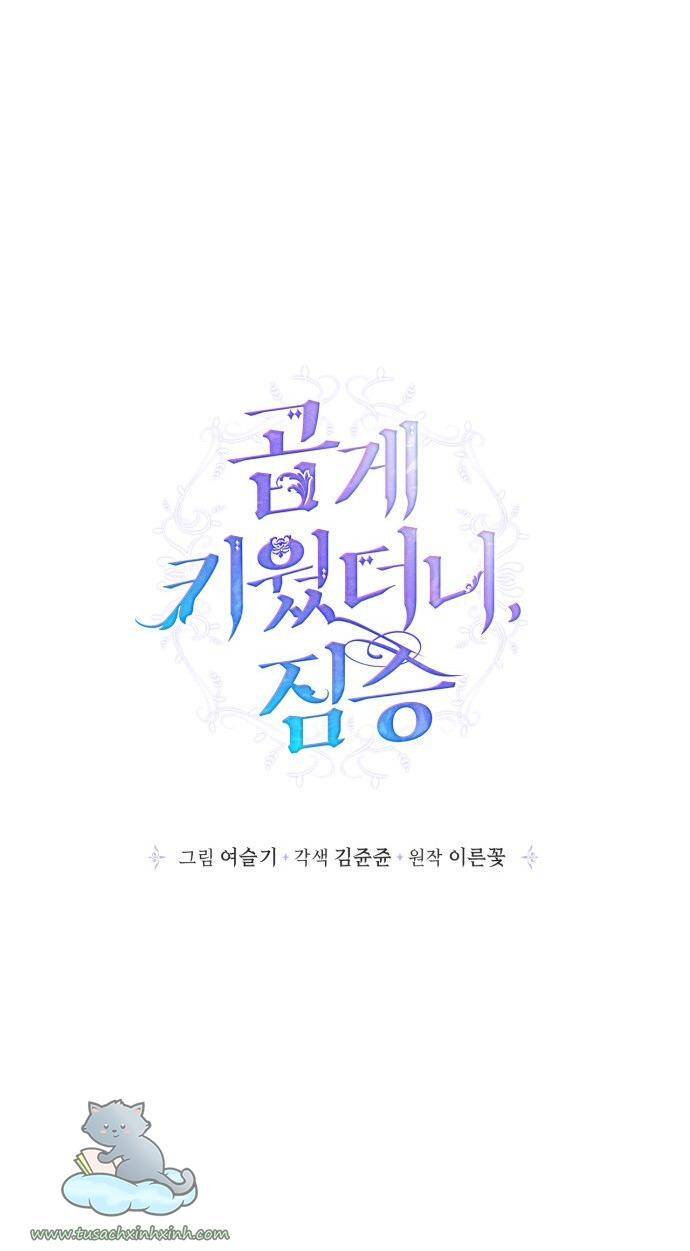 Thuần Hóa Quái Thú Thật Tốt - Chương 62