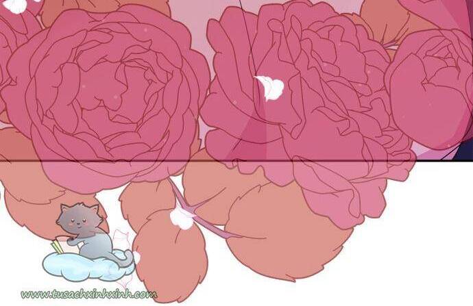 Thuần Hóa Quái Thú Thật Tốt - Chương 62