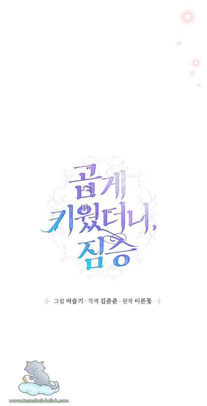 Thuần Hóa Quái Thú Thật Tốt - Chương 70