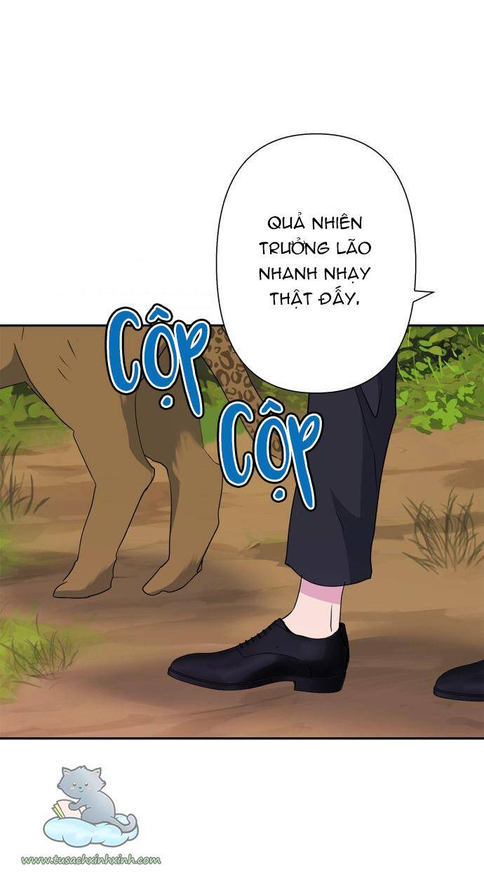 Thuần Hóa Quái Thú Thật Tốt - Chương 70