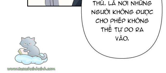 Thuần Hóa Quái Thú Thật Tốt - Chương 79