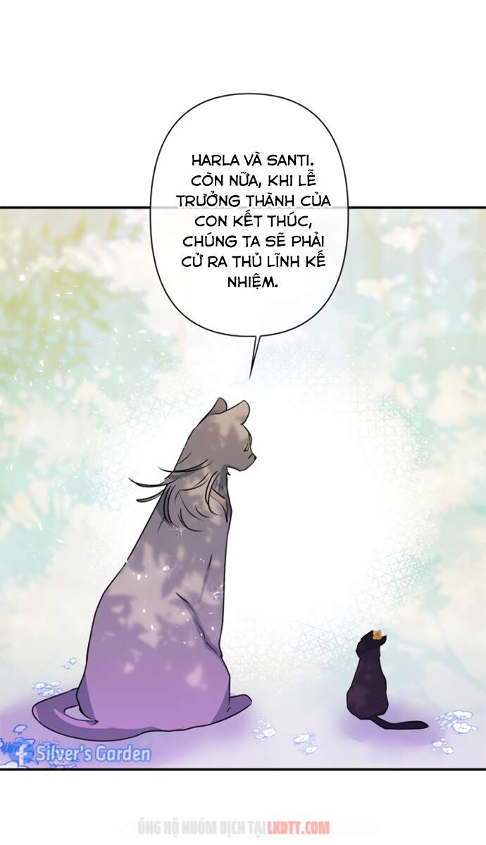 Thuần Hóa Quái Thú Thật Tốt - Chương 17