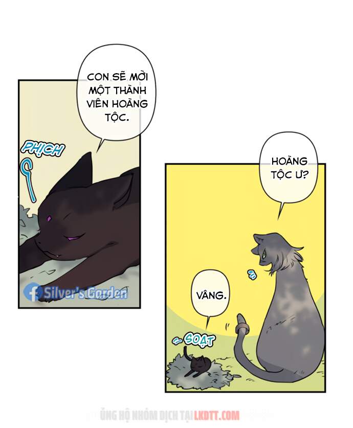 Thuần Hóa Quái Thú Thật Tốt - Chương 17