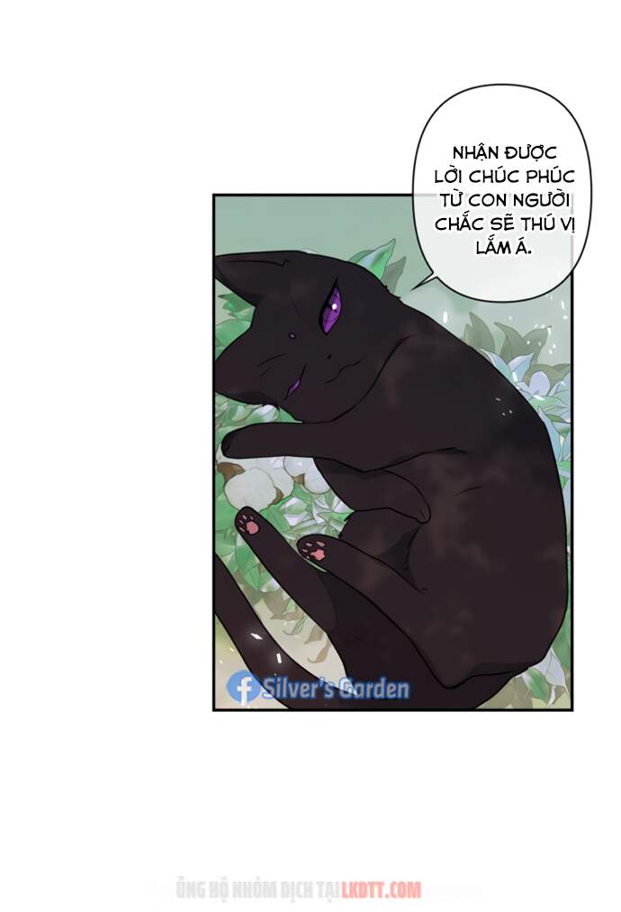 Thuần Hóa Quái Thú Thật Tốt - Chương 17