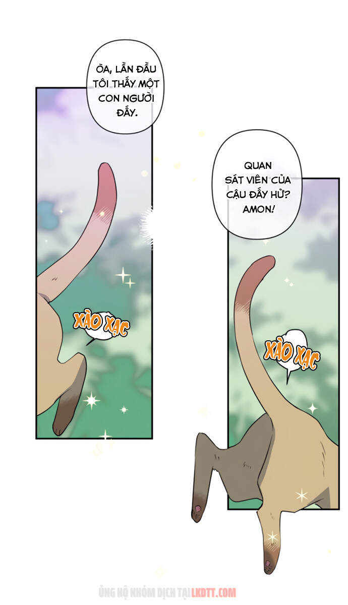 Thuần Hóa Quái Thú Thật Tốt - Chương 18