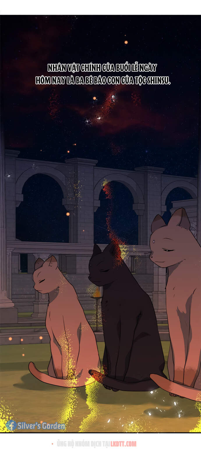 Thuần Hóa Quái Thú Thật Tốt - Chương 18